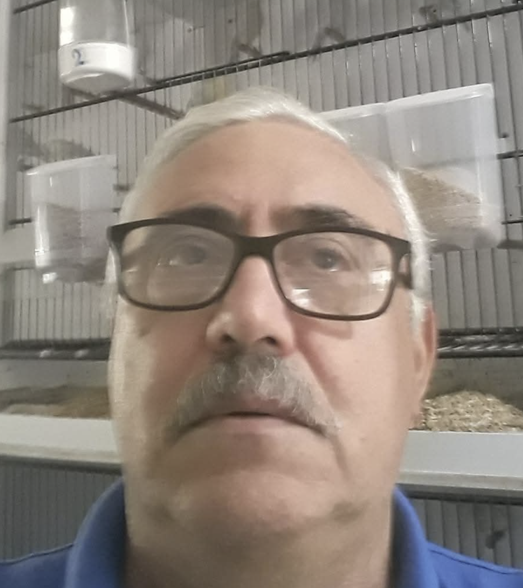Joaquim Custódio